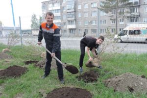 ЕВРАЗ направил 1 млн рублей на озеленение Качканара